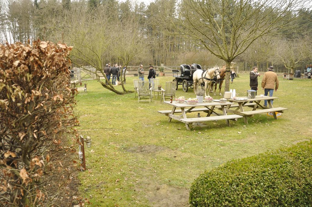 B&B Zinnen En Minnen Herselt Exterior photo